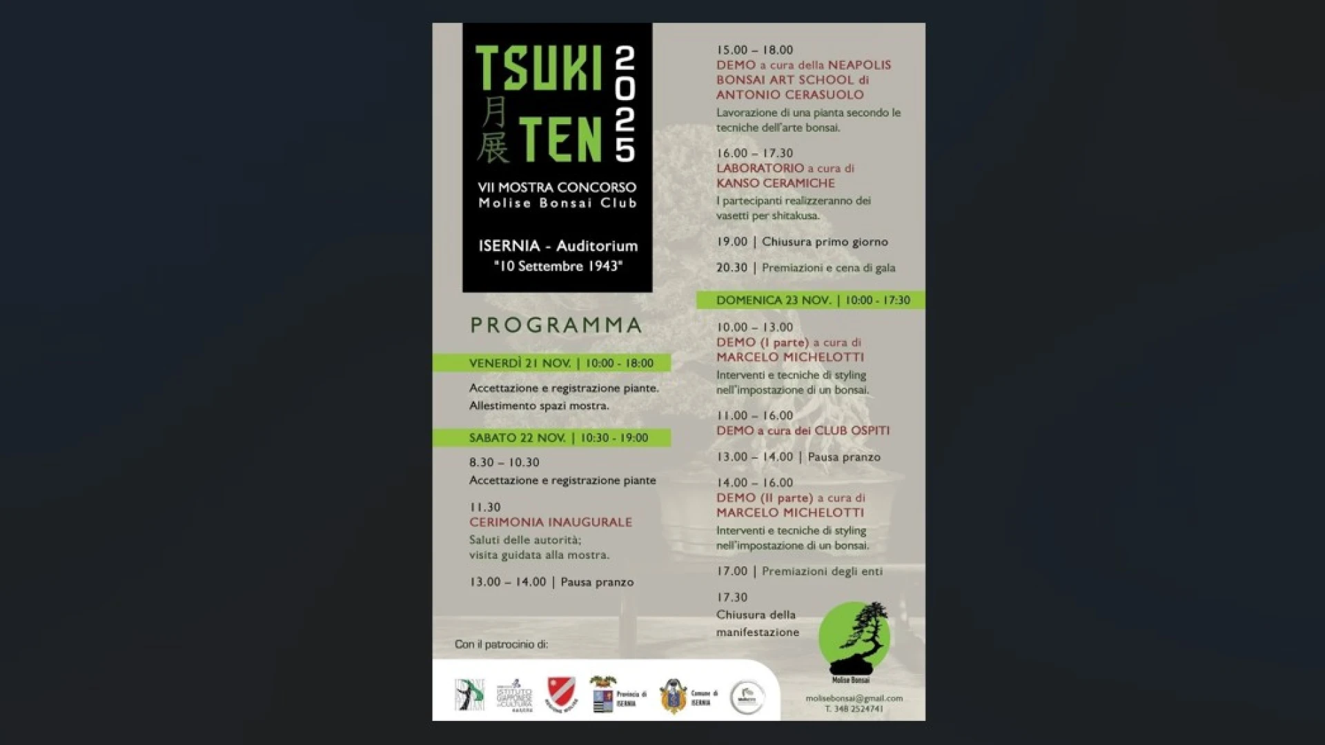 Isernia: il 22 e 23 novembre l’edizione 2025 della Mostra Molise Bonsai Club.